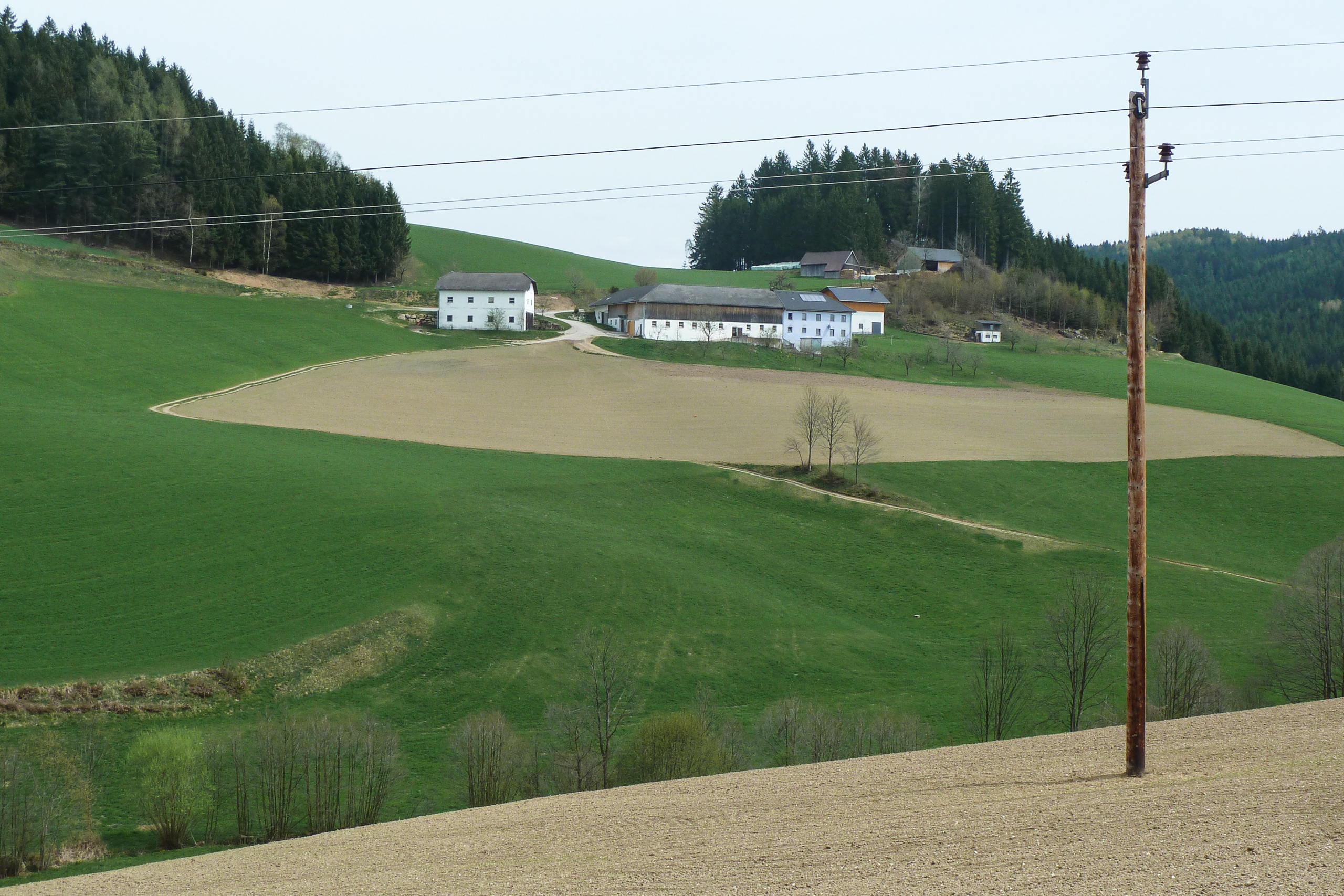 Weites Mühlviertel